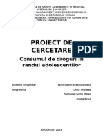 Proiect de Cercetare