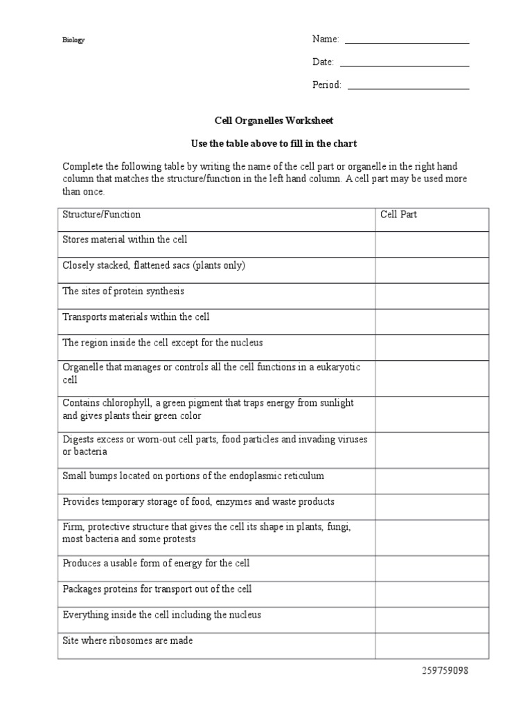 Worksheets Cell Organelles And Their Functions Worksheet worksheet cell parts and functions mytourvn organelles endoplasmic reticulum biology