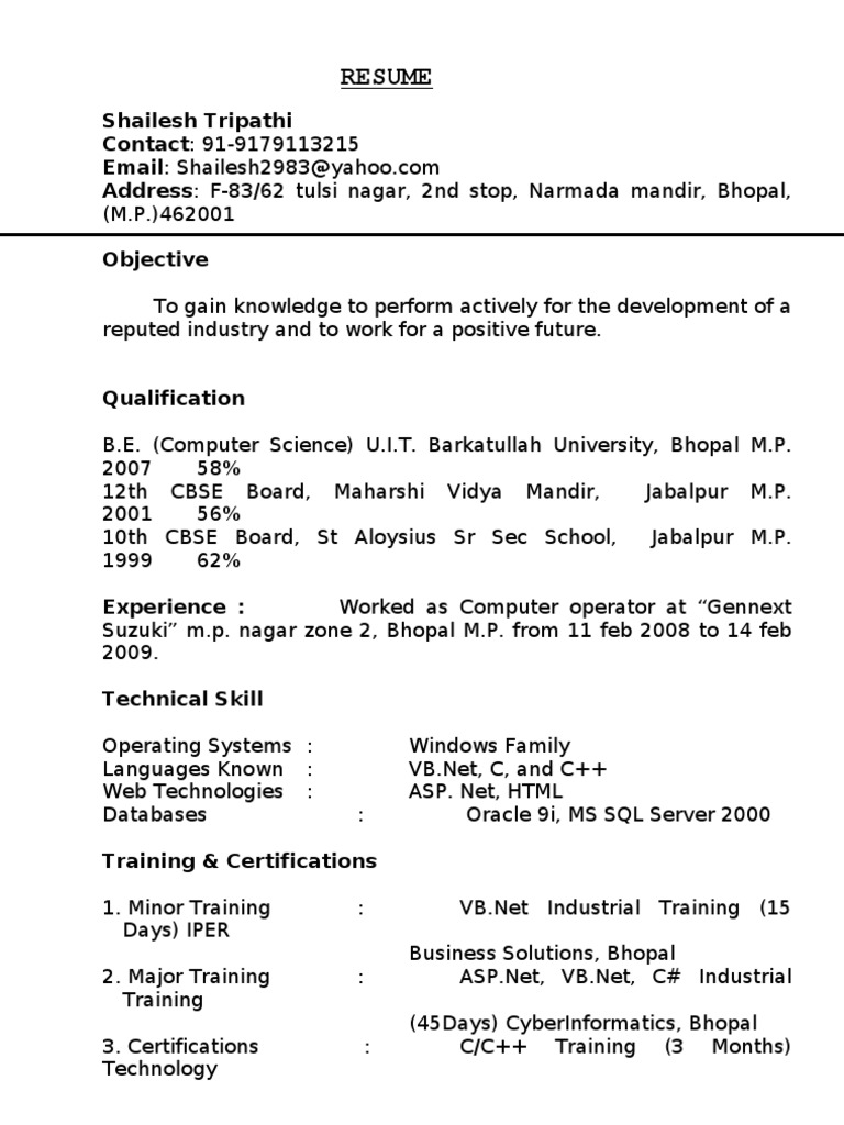RESUME Developer | PDF | Software Engineering | Computing