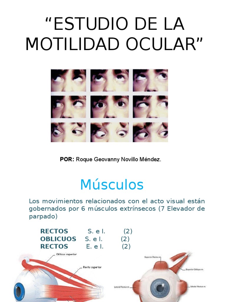 Movimientos Oculares y Músculos | PDF