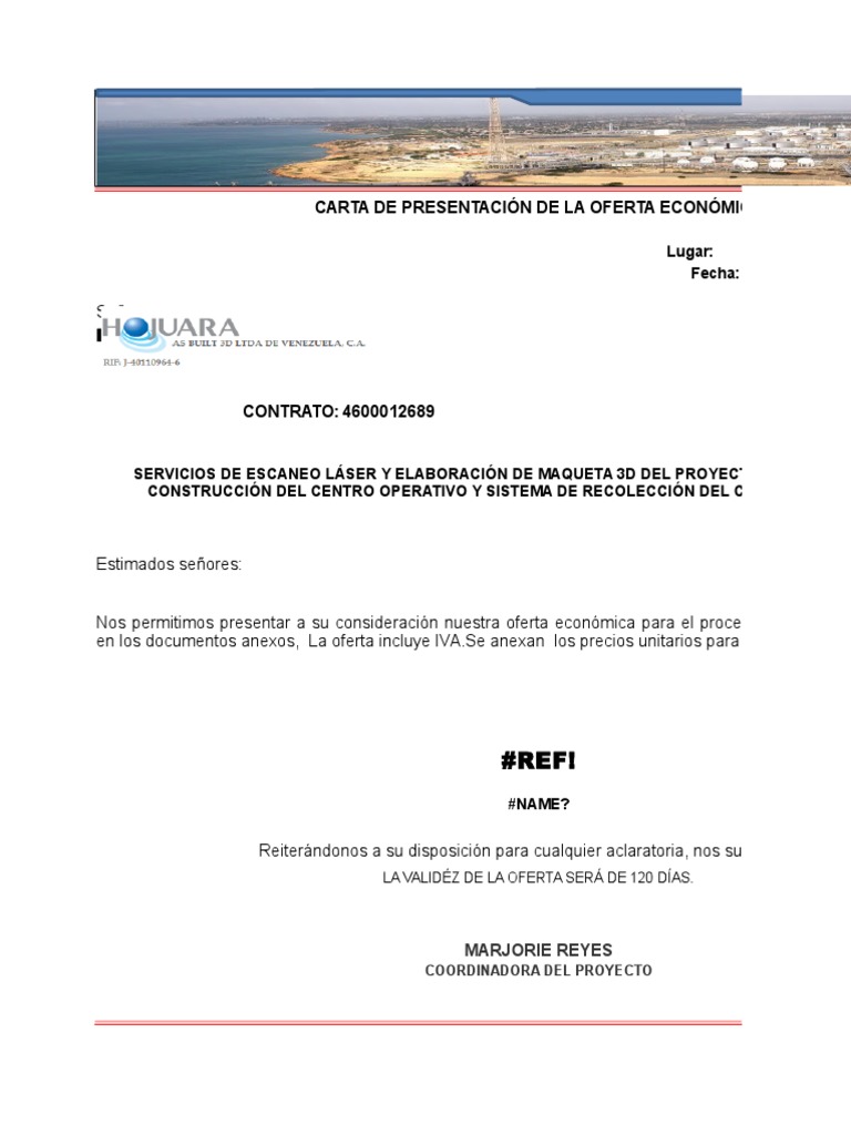Oferta Económica para Proyecto 3D PDVSA | PDF | Economias | Business
