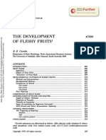 The Development of Fresly Fruits