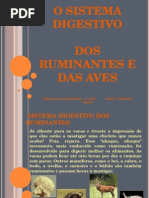 Digestoruminanteseaves111101124957 Phpapp011 111125073101 Phpapp02