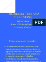 The Biliary Tree and Cholestasis: Richard Hinton School of Biological Sciences University of Surrey