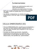 Conceptos Fundamentales Embrion Humano