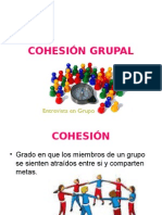 Cohesión Grupal