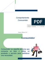 Comportamiento Consumidor