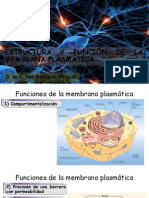 Estructura y Función de La Membrana Plasmática
