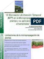 El Biorreactor de Inmersion Temporal en La Micropropagacion Ornamentales