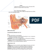 CURS_1 Orl