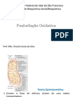 Fosforilação oxidativa (1)