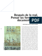 Después de Lo Real. Pensar Las Formas Del Documental, Hoy