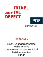 Ventrikel Septal Defect: Biokimia