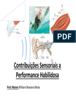 Contribuições Sensoriais A Performance Habilidosa