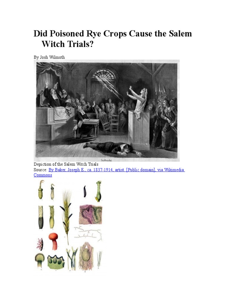 Did Poisoned Rye Crops Cause The Salem Witch Trials PDF