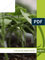 www.ecoplant.ro_prezentare_Brousura Syngenta Altoire Pepeni.pdf