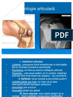 PATOLOGIA-ARTICULARA