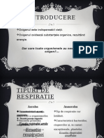 Proiect Biologie Fermentatie