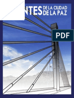 Puentes de La Ciudad de LP - GAMLP