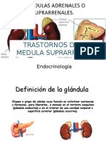 TRASTORNOS DE LA MEDULA SUPRARRENAL.pptx