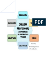 Carrera Profesional