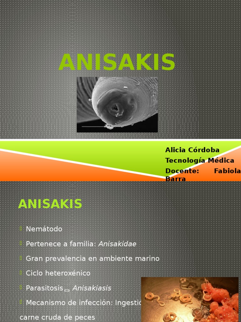 Anisakis | PDF | Inmunología | Medicina