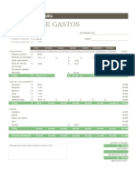 Informe de Gasto Empresarial