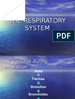 Intervensi Respiratory System