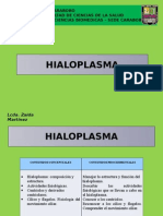 Hialoplasma