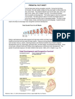 Prenatal Fact Sheet