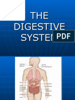 Intervensi Digestive System