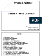 Hobby Collection: Theme: Types of Birds