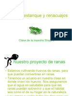 Presentación multimedia Proyecto Agua de estanque y renacuajos.pdf