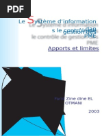 Controle de Gestion Et SI