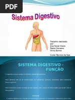 Sistema Digestivo