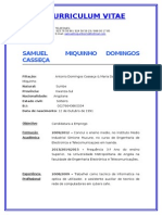 Miquinho_cv[1].doc
