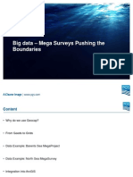 Big Data Mega Surveys