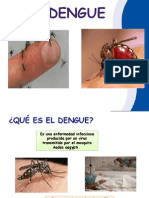 Dengue Presentacion