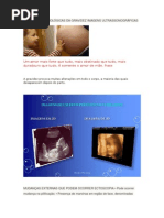 Alterações Fisiológicas Da Gravidez