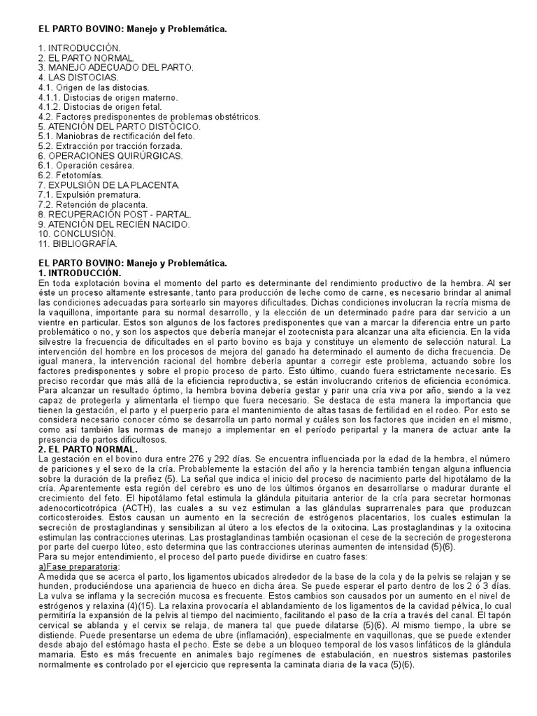 El Parto Bovino | PDF | Parto | Vacas