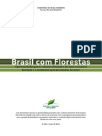Brasil Com Florestas Oportunidades para PDF