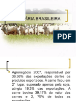 A Pecuária Brasileira