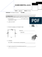 exam primaria 4°-5° fisica (2)