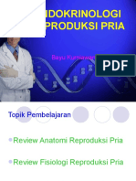 Kuliah Endokrinologi Reproduksi Pria