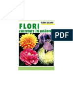 116910807 Flori Cultivate in Gradina