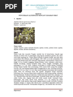 Download tanaman_obat by Lia Puspiita SN255323804 doc pdf