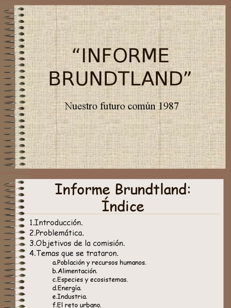 Objetivos del Informe Brundtland 1987 | PDF | Desarrollo sostenible ...