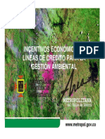 4. Incentivos Económicos en La Gestión Ambiental