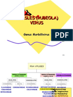 Measles (Rubeola) Virus