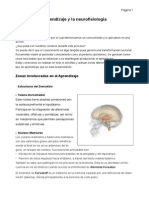 Neurofisiologia Del Aprendizaje